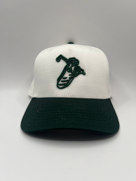 Dogs at the Turn 3D Logo Hat - Green/White